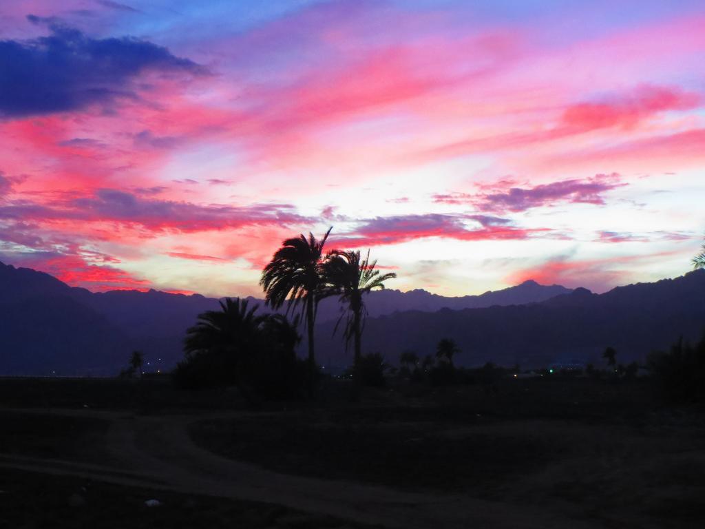 Villa Boghdady Dahab Chambre photo